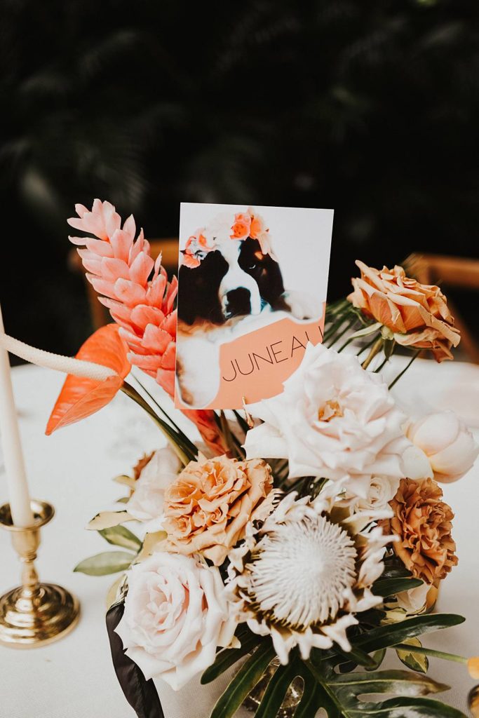 Tropical and unique centerpieces for guest tables at the Historic Walton House in Homestead Florida