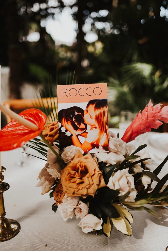 Tropical and unique centerpieces for guest tables at the Historic Walton House in Homestead Florida