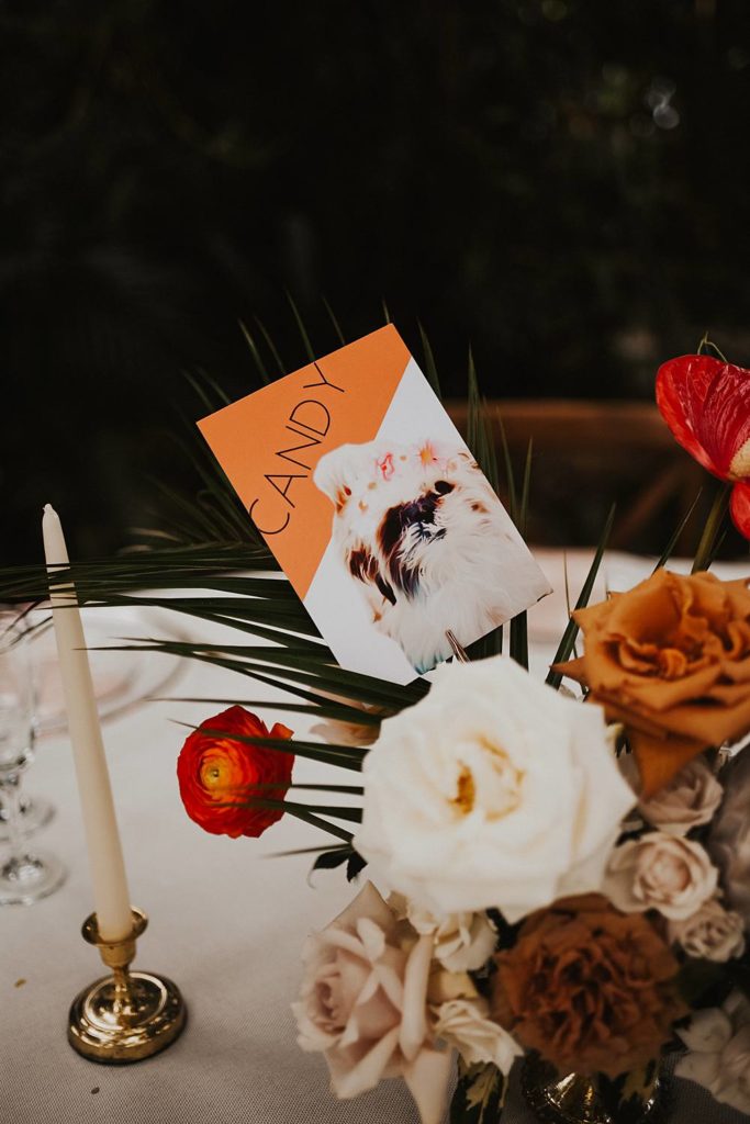 Tropical and unique centerpieces for guest tables at the Historic Walton House in Homestead Florida