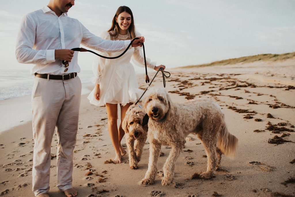 Bride and groom walking golden doodle dogs on beach