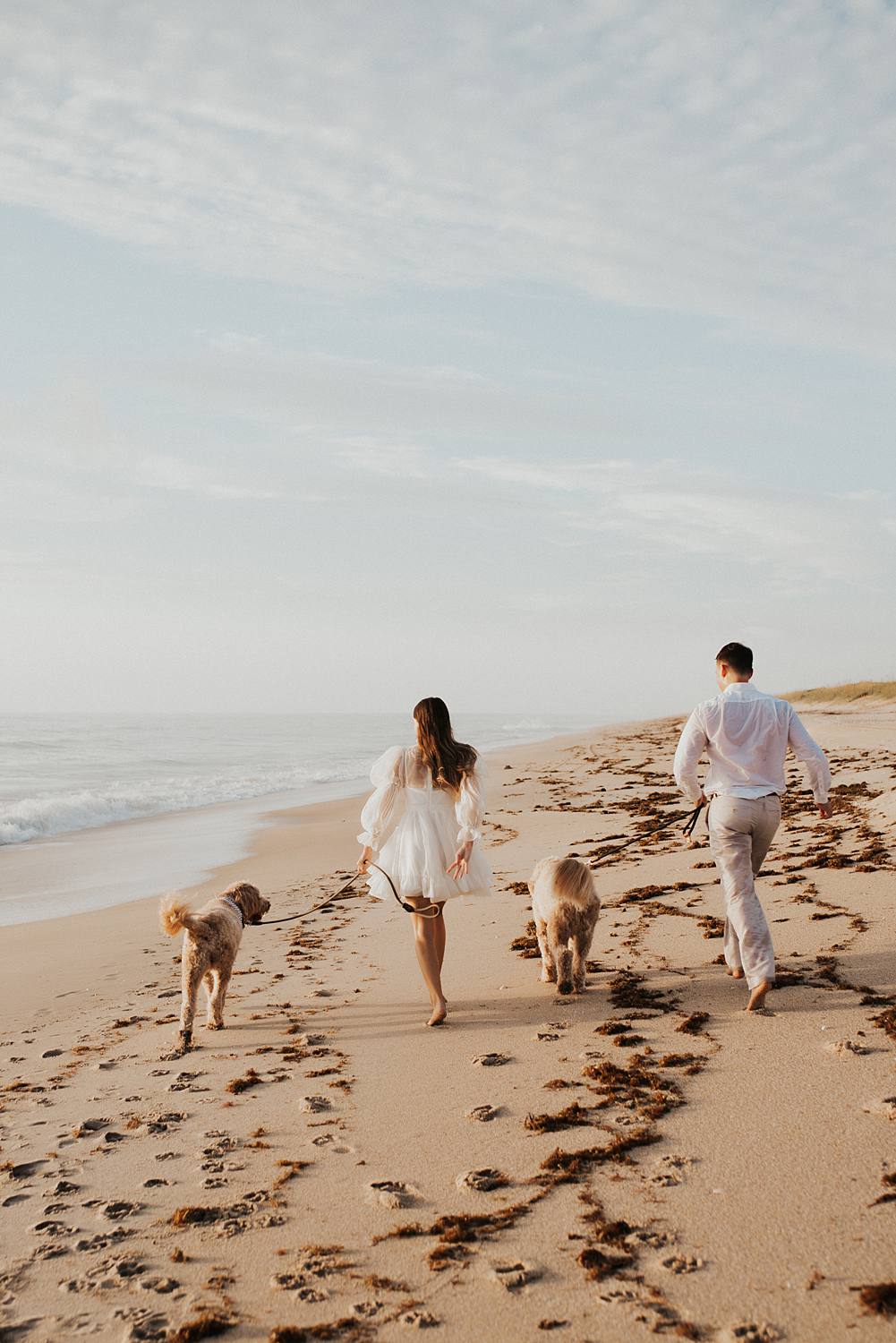 Bride and groom walking golden doodle dogs on beach