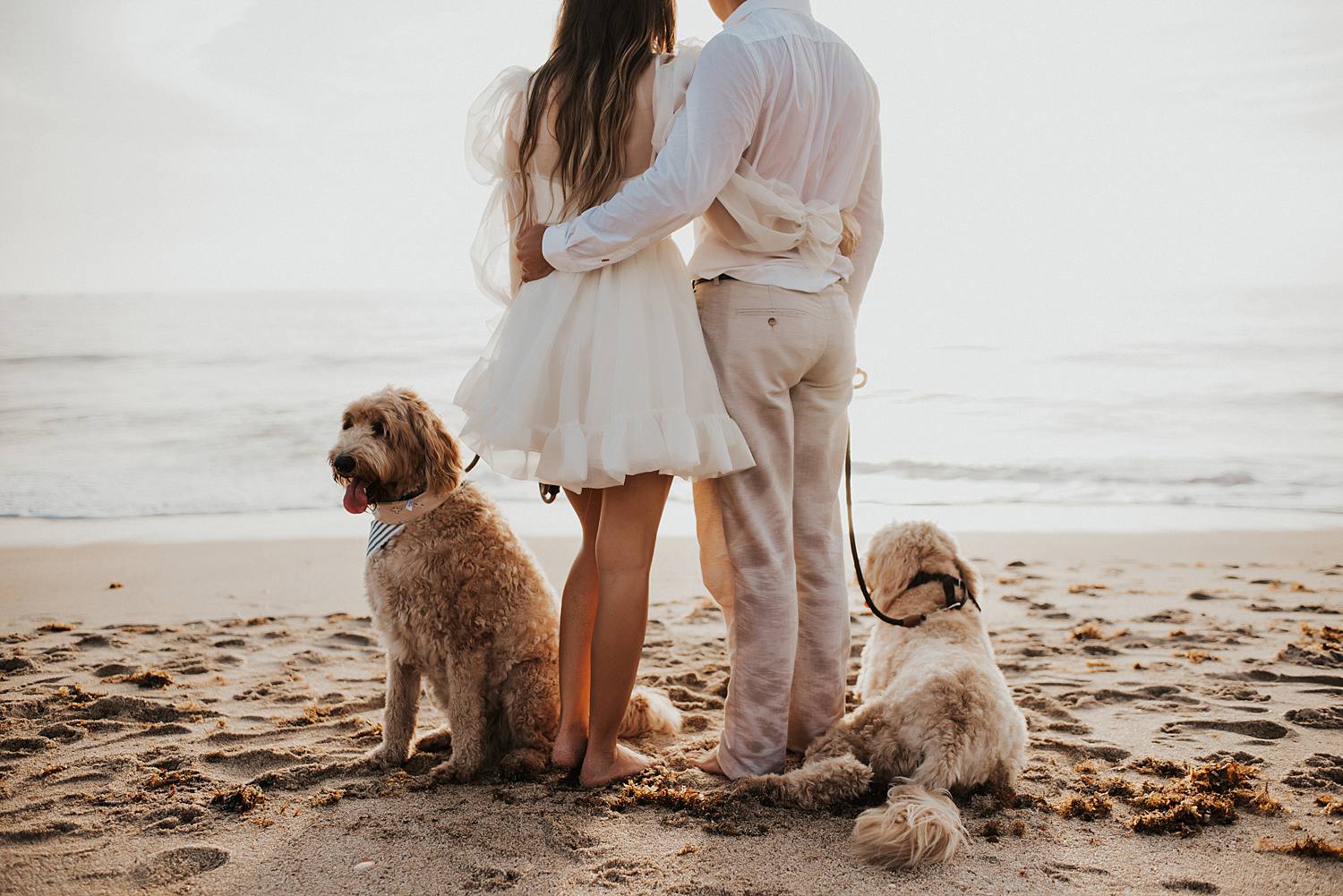 Bride and groom with golden doodle dogs on beach