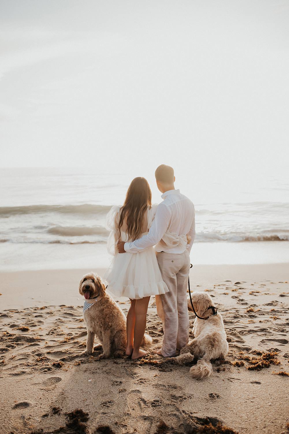 Bride and groom with golden doodle dogs on beach