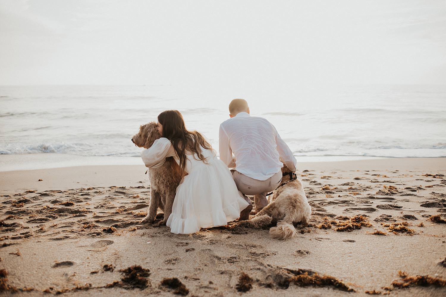 Bride and groom with golden doodle dogs on beach