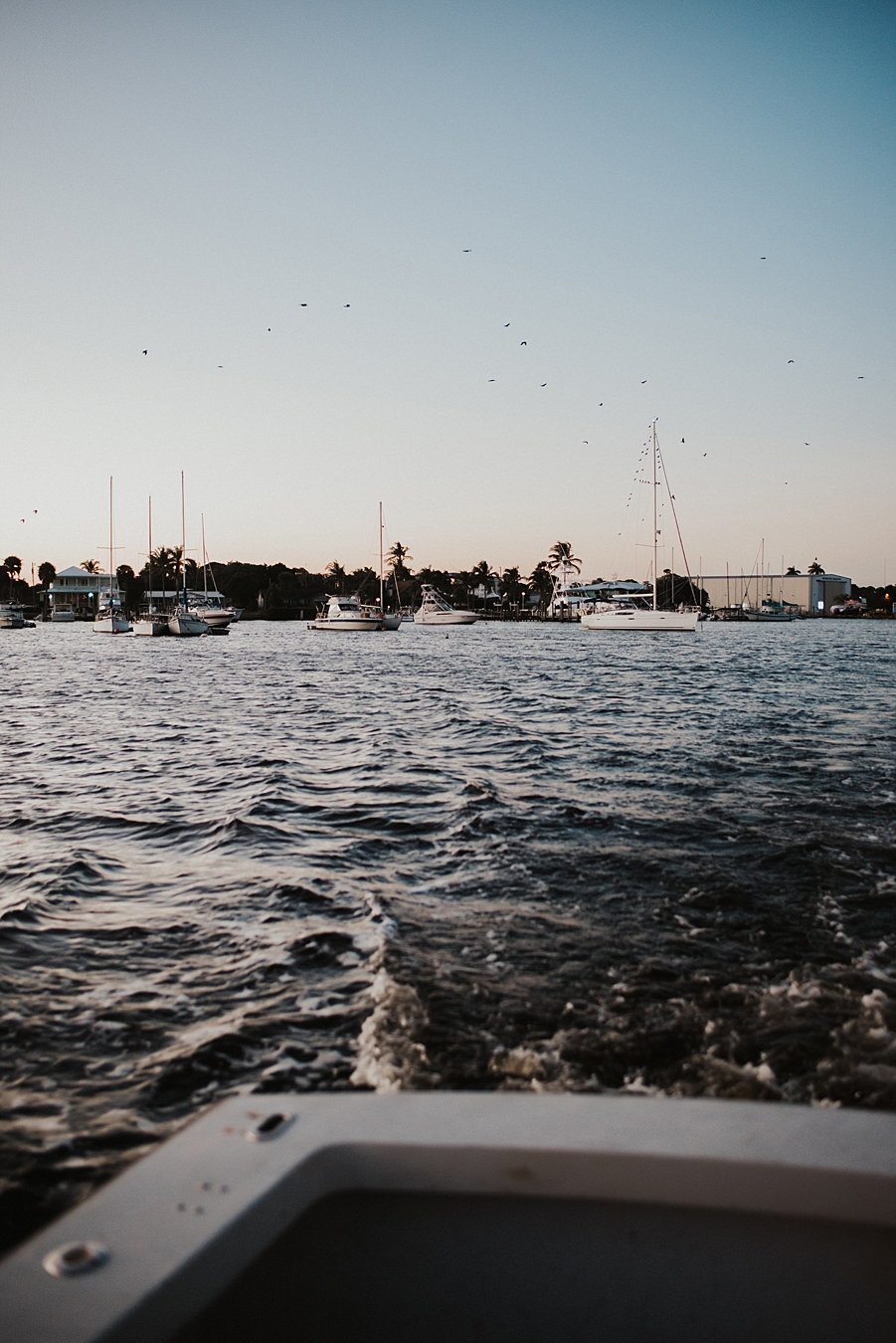 Marina scene before elopement