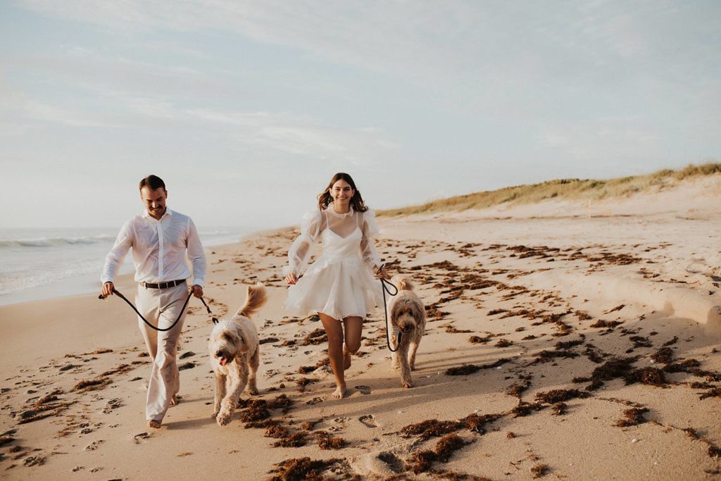Bride and groom walking golden doodle dogs on beach