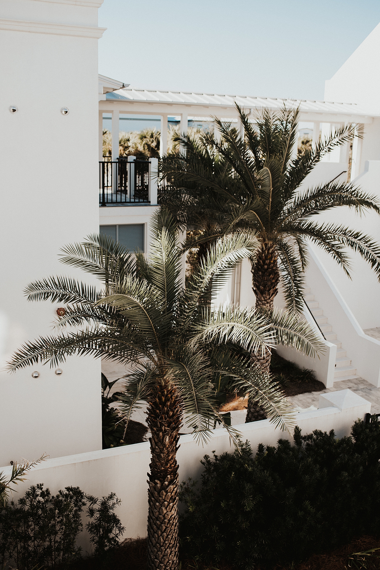 Palm trees in front of white AirBnB in Rosemary  Beach